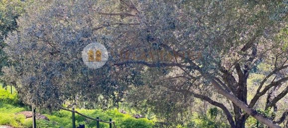 2 غرف نوم منزل في Santa Catarina da Fonte do Bispo, Portugal رقم 127936 25