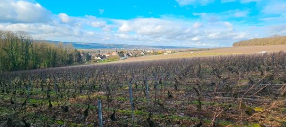 Земельный участок 2306м² в Нель-ла-Монтань, Франция № 303705 2