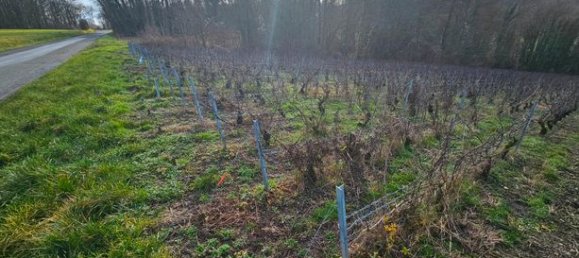 Земельный участок 2306м² в Нель-ла-Монтань, Франция № 303705 3