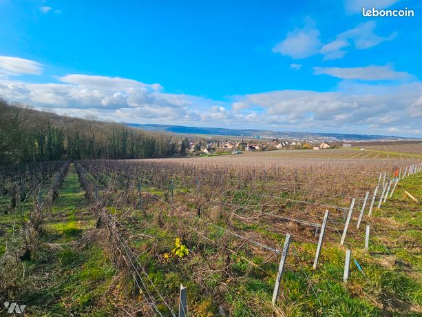 Земельный участок 2306м² в Нель-ла-Монтань, Франция № 303705