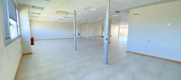 Büro in Chartered Community of Navarre, Spain 705m², Nr. 87327 3