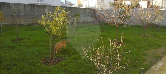 4 chambres Maison à Valpacos, Portugal No. 19483 27