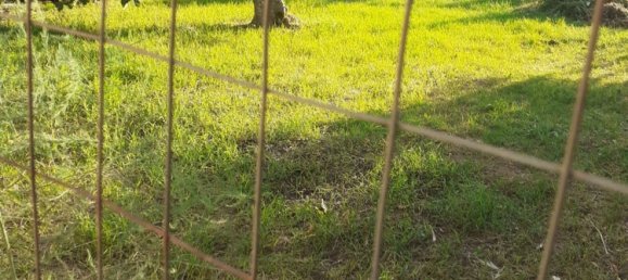  قطعة أرض في Formicola, Italy رقم 343043 4