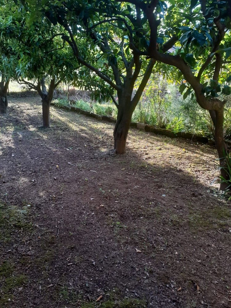  قطعة أرض في Formicola, Italy رقم 343043