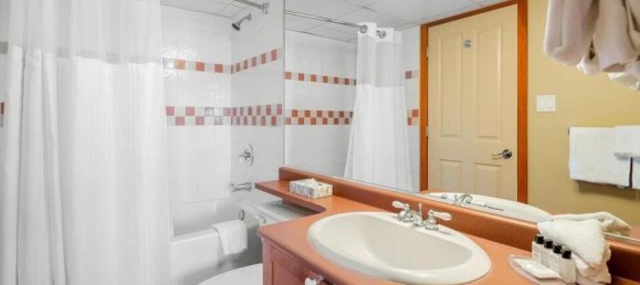 Studio in the Condo in British Columbia, Canada No. 1187 11