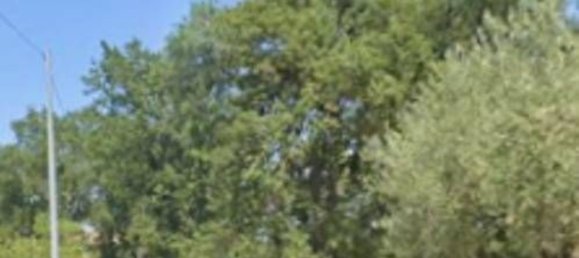 9580m² Land in Bolognano, Italy No. 345958 5