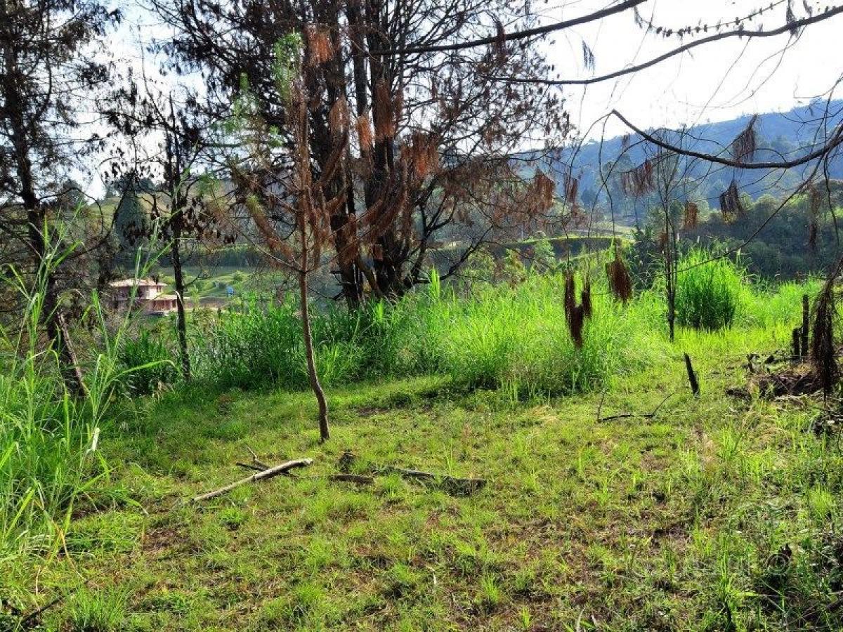  Land in Antioquia, Colombia No. 383