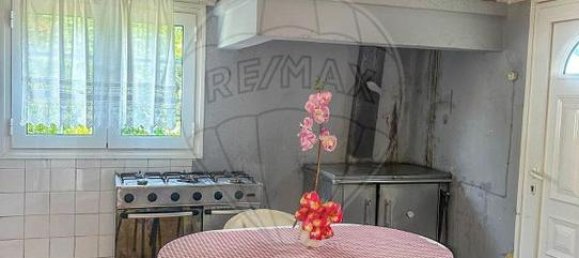 3 bedrooms House in Ribeira de Pena, Portugal No. 20557 6