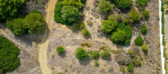 2690m² Land in Cadiz, Spain No. 29414 13