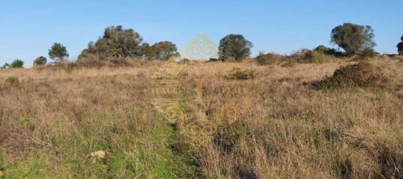 5551m² Land in Sesimbra, Portugal No. 143329 6