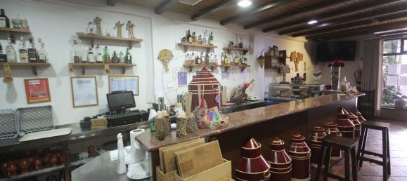 491m² Commercial property in Grandola, Portugal No. 88436 13