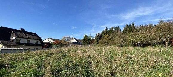 Land in St. Valentin, Austria No. 61464 3