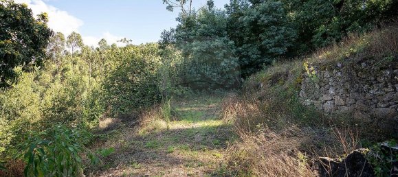 Casa de 1 dormitorio en Barcelos, Portugal No. 37401 12