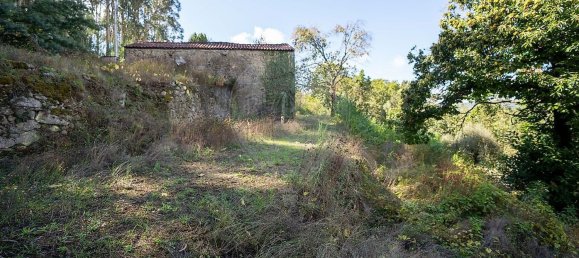 Casa de 1 dormitorio en Barcelos, Portugal No. 37401 14