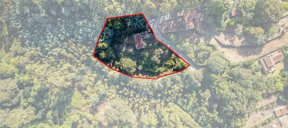 Casa de 1 dormitorio en Barcelos, Portugal No. 37401 39