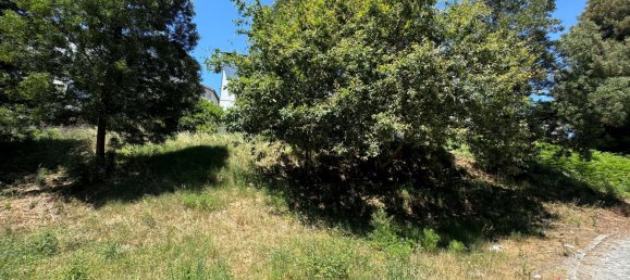 4667m² Land in Vila Nova de Famalicao, Portugal No. 32279 10