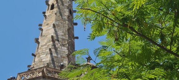 4 bedrooms House in Limoux, France No. 339907 2