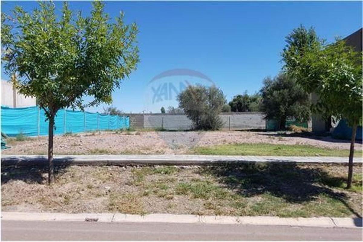  Land in Mendoza, Argentina No. 45253