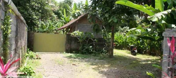 5650m² Land in Tabanan, Indonesia No. 4462 2