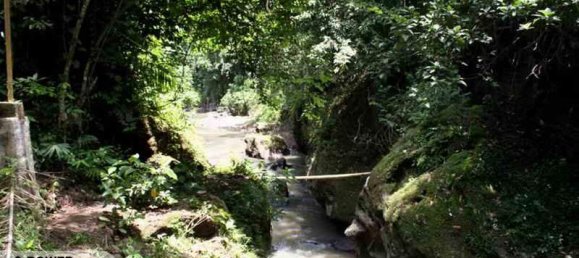 5650m² Land in Tabanan, Indonesia No. 4462 6