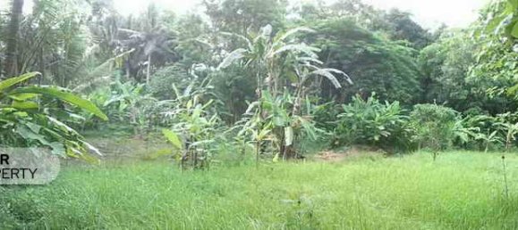 5650m² Land in Tabanan, Indonesia No. 4462 8