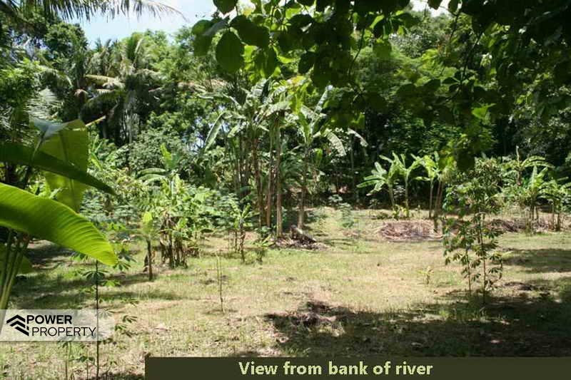 5650m² Land in Tabanan, Indonesia No. 4462