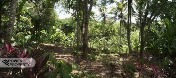 5650m² Land in Tabanan, Indonesia No. 4462 9