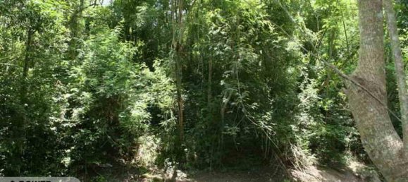 5650m² Land in Tabanan, Indonesia No. 4462 7