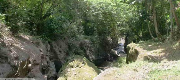 5650m² Land in Tabanan, Indonesia No. 4462 4