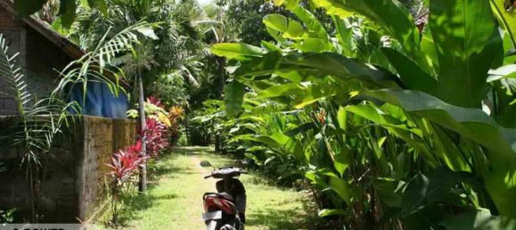 5650m² Land in Tabanan, Indonesia No. 4462 5
