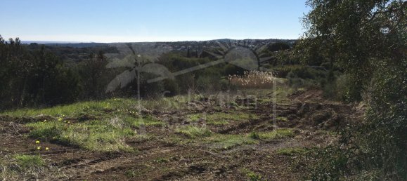 Terrain à Cadiz, Spain 884m² No. 29425 19