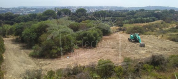 Terrain à Cadiz, Spain 884m² No. 29425 21