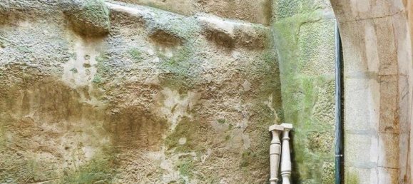 488m² Commercial property in Porto, Portugal No. 98225 12