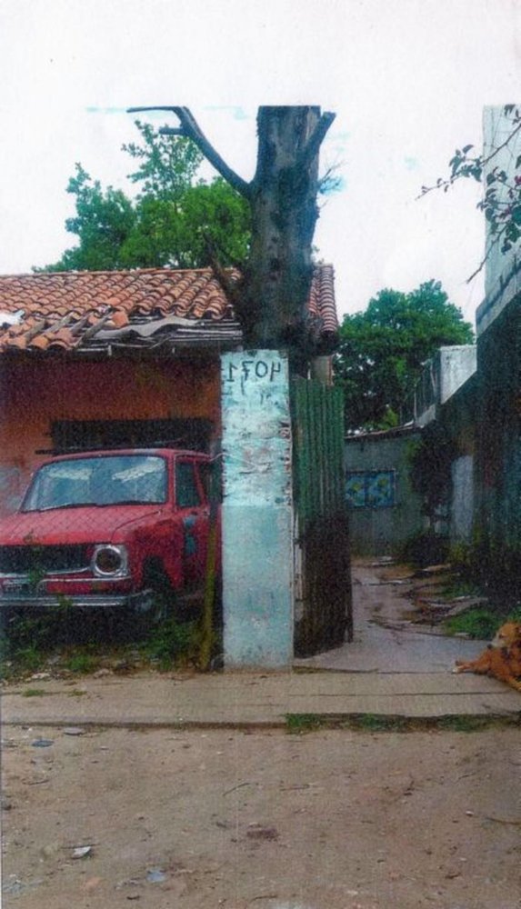  Land in Vicente Lopez, Argentina No. 42545