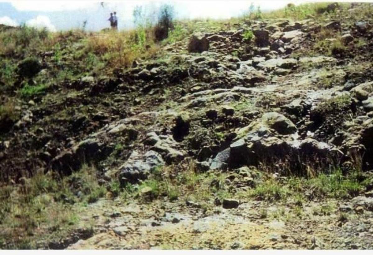 Grundstück in Villa Guerrero, Mexico, Nr. 205760