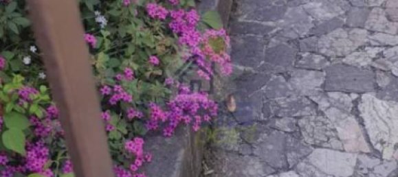 Дом с 3 спальнями в Ломбардия, Италия № 303682 22