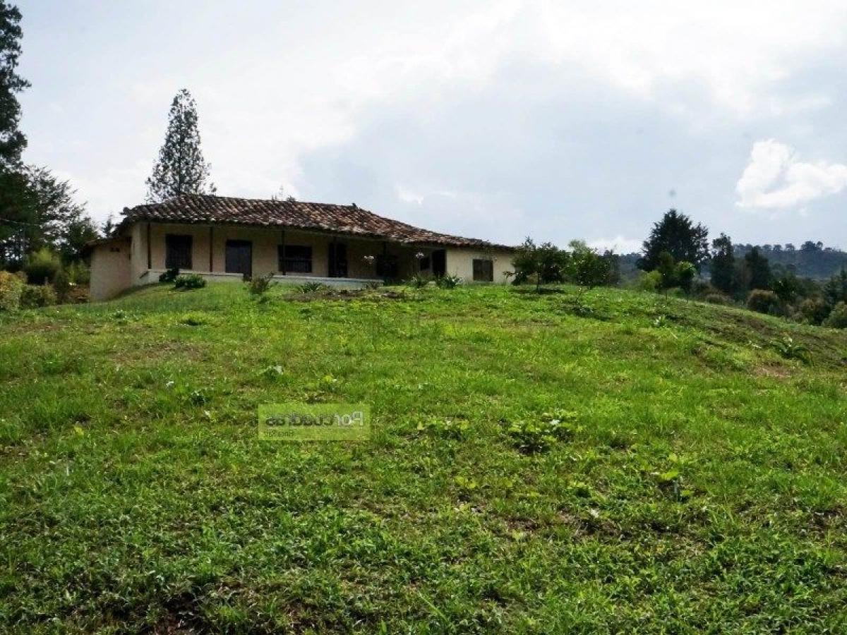  Land in Antioquia, Colombia No. 802