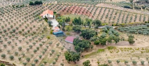 6 bedrooms House in Murias, Portugal No. 88239 11