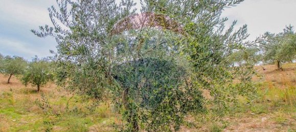 6 bedrooms House in Murias, Portugal No. 88239 6