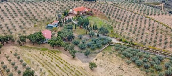 6 bedrooms House in Murias, Portugal No. 88239 37