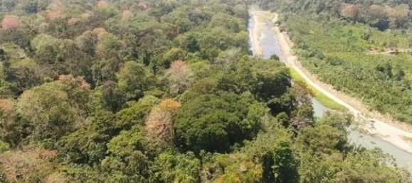  قطعة أرض في Limon, Costa Rica رقم 1748 2