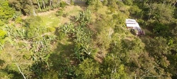  قطعة أرض في Limon, Costa Rica رقم 1748 4