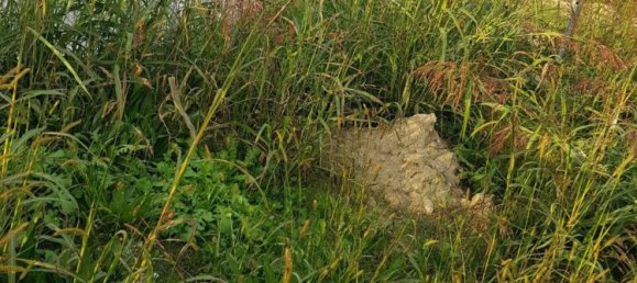 1300m² Land in Vigodarzere, Italy No. 111284 3