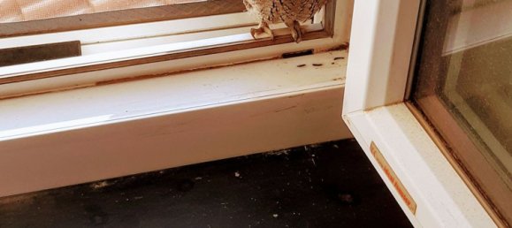 4-salle Maison à Pietrabruna, Italy No. 285636 31