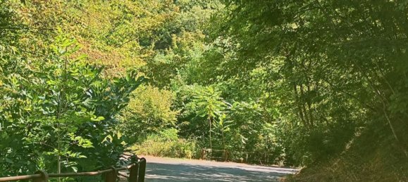 4-salle Maison à Pietrabruna, Italy No. 285636 35