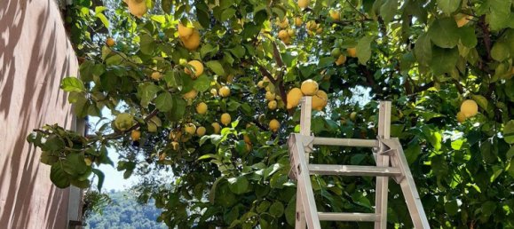 4-salle Maison à Pietrabruna, Italy No. 285636 8