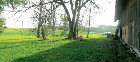 Grundstück in Ravensburg, Germany, Nr. 29495 2