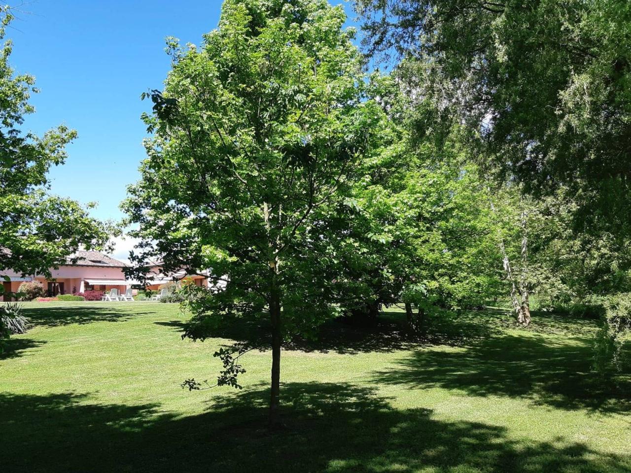 4 rooms Villa in Castelletto sopra Ticino, Italy No. 144601