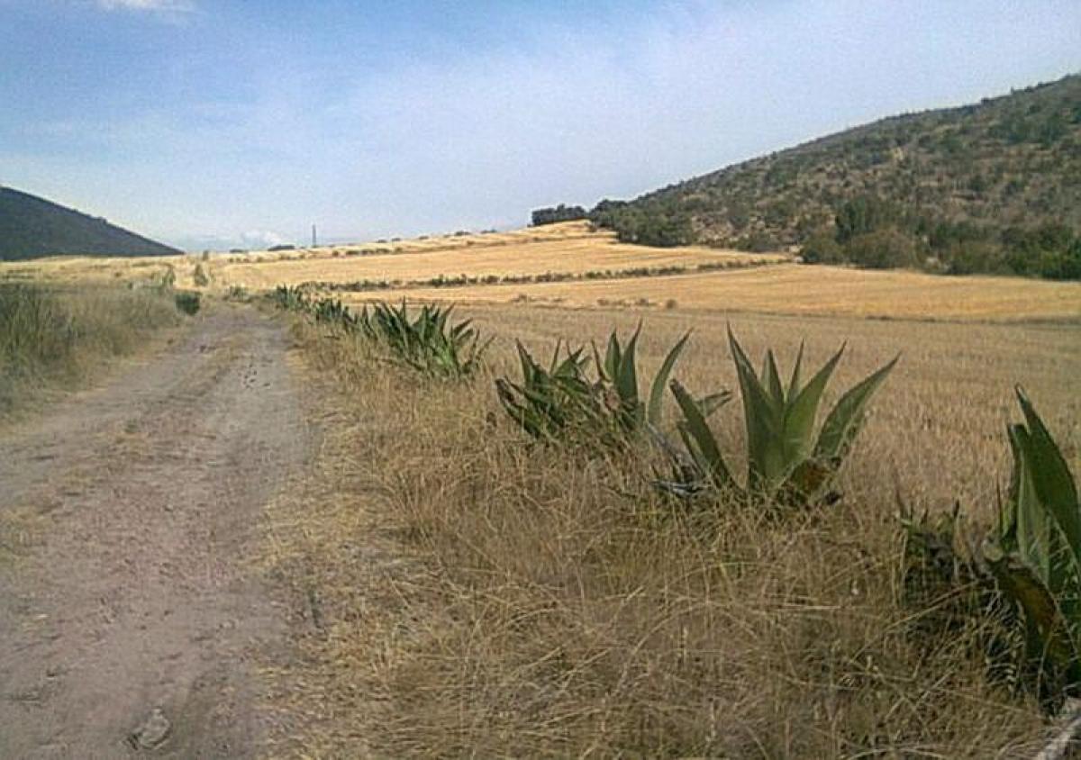 126m² Land in Texcoco de Mora, Mexico No. 203725