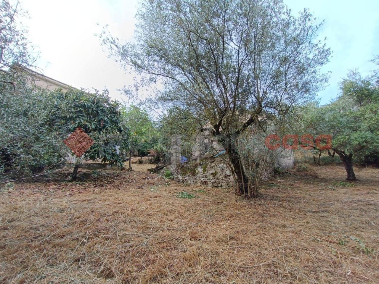 5-salle Maison à Vicalvi, Italy No. 126665